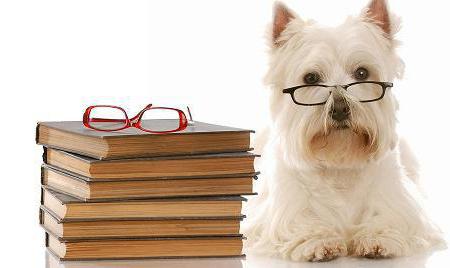 könyvek a kutyák listájáról